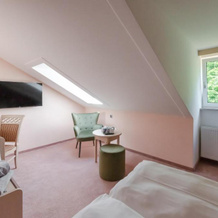 Robenstein Aktivhotel & SPA, 茨维泽尔 — 照片 3