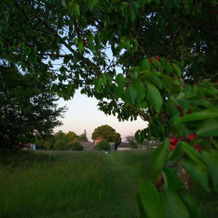 Domaine de Bel Air Carpe Diem, Tizac-de-Curton — photo 2