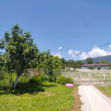 Tsitrus 21 Guest House, Verkhnyaya Eshera — photo 4