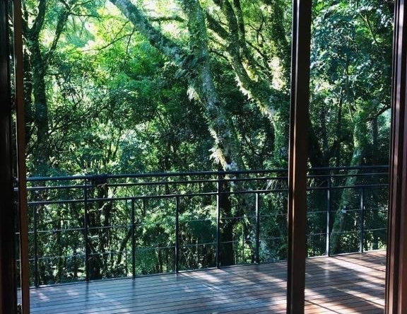 NaCarapina - Natural House, 圣弗朗西斯科迪保拉 — 照片 1