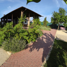 Alfa Guest House, 奥列尼夫卡 — 照片 5