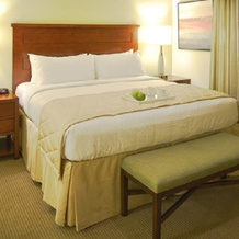 Hilton Vacation Club Mystic Dunes Orlando, 赛勒布雷申 — 照片 4