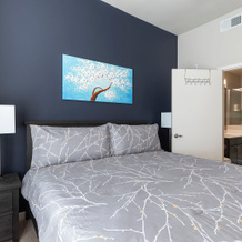 Elan Med Center 544 Apart-Hotel, 休斯顿 — 照片 5