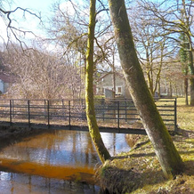 Chambres d'Hôtes L'Hirondelle du Lac, 佩拉勒沙托 — 照片 5