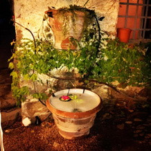 Domaine D'ostriconi-l'agriate Café, 帕拉斯卡 — 照片 2