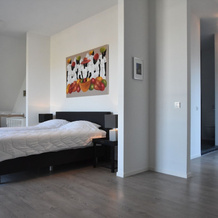 Modern 6-person Villa in a Quiet Spot in the Middle of Nature, 哈尔德韦克 — 照片 4