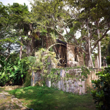 The Tryall Club, 桑迪湾 — 照片 3