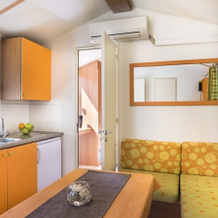 Standard Mobile Home Medveja, Медвежа — фото 4