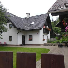 Apartment Andolsek, Bohinjska Bistrica — photo 4