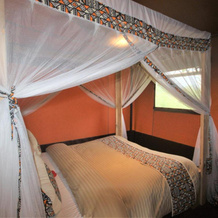Africa Safari Lake Manyara, 米贡加尼 — 照片 4