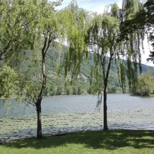 Al lago Guest House, 塔尔佐 — 照片 4