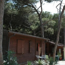 Camping Pionier Etrusco, 蒙塔尔托-迪卡斯特罗 — 照片 4