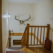 Pension Tofalvi, Харгита-Бэи — фото 4