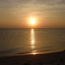 Shell Coast Resort, 佩萨莱 — 照片 4