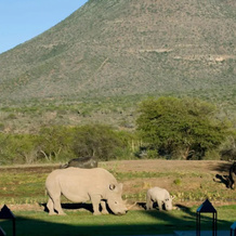 Samara Karoo Lodge, 彼得堡 — 照片 2