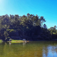 SEE TOO VILLE - Nature Lodge Sagada, Sagada — photo 2
