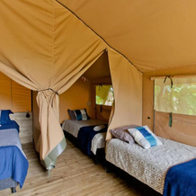 Glamping Jardín, Жардин — фото 3