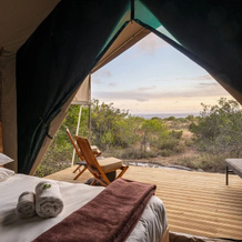 Shamwari Explorer Camp, Сидбери — фото 3