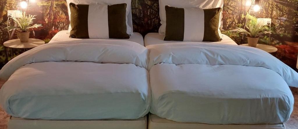 Bed en Breakfast Het Oelenest, 安洛 — 照片 1