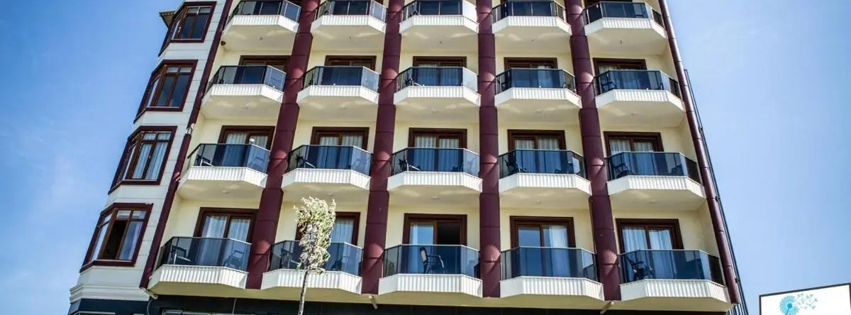 Aliento Hotel, 布尔哈尼耶 — 照片 1