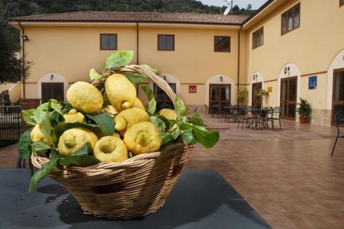 Villa Orchidea, Ali Terme — photo 1