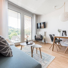 V7 Boutique Appartements, Freiburg im Breisgau — photo 3