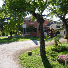 Azienda Agricola Marin, Este — photo 2
