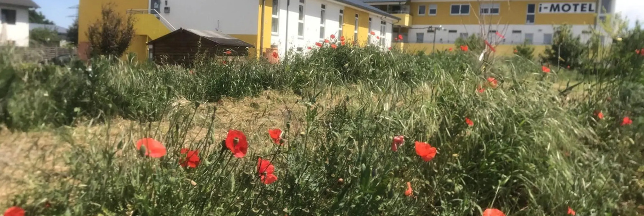 I-Motel, Обертсхаузен — фото 1