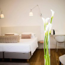 L'Hôtel Particulier Béziers, 贝济耶 — 照片 4