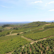 Tiny house au cœur du vignoble beaujolais, 弗勒里 — 照片 5