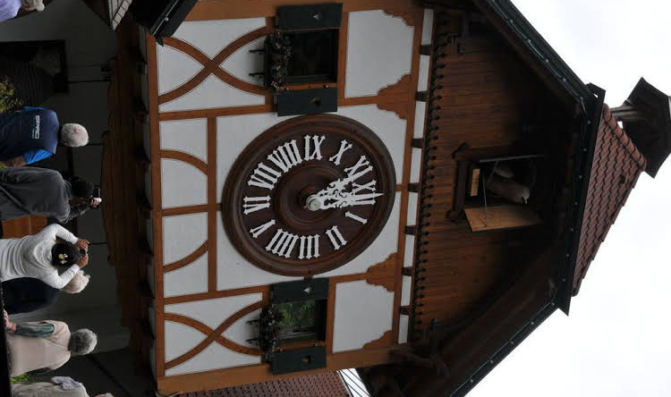 Gasthaus Rebstock, 西蒙斯瓦尔德 — 照片 1