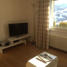 Segnas Mountain Apartment, Disentis — photo 2