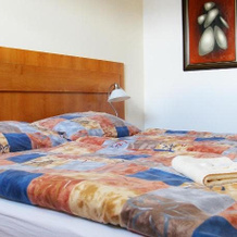 Hotel Slavia, Tabor — photo 2
