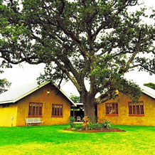 Elandsheim Guest Farm, Роркс-Дрифт — фото 2