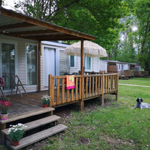 Camping Les Berges de la Dordogne, 特雷莫拉 — 照片 3