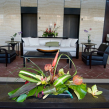 Jet Luxury @ The Trump Waikiki, 火奴鲁鲁 — 照片 4