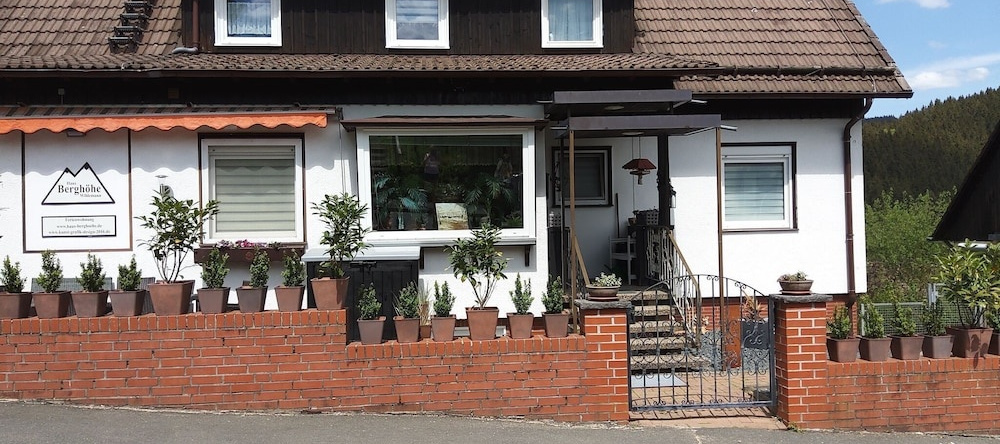 Large Apartment in Wildemann in the Upper Harz, at the Edge of the Forest, Wildemann — photo 1