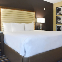 Moonrise Hotel, St. Louis — photo 3