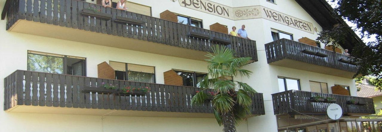 Hotel Pension Weingarten, 马格雷苏拉斯特拉达德尔维诺 — 照片 1