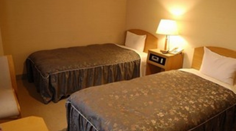 Puti Hotel Nozawa Onsen Inn, 野泽温泉 — 照片 1