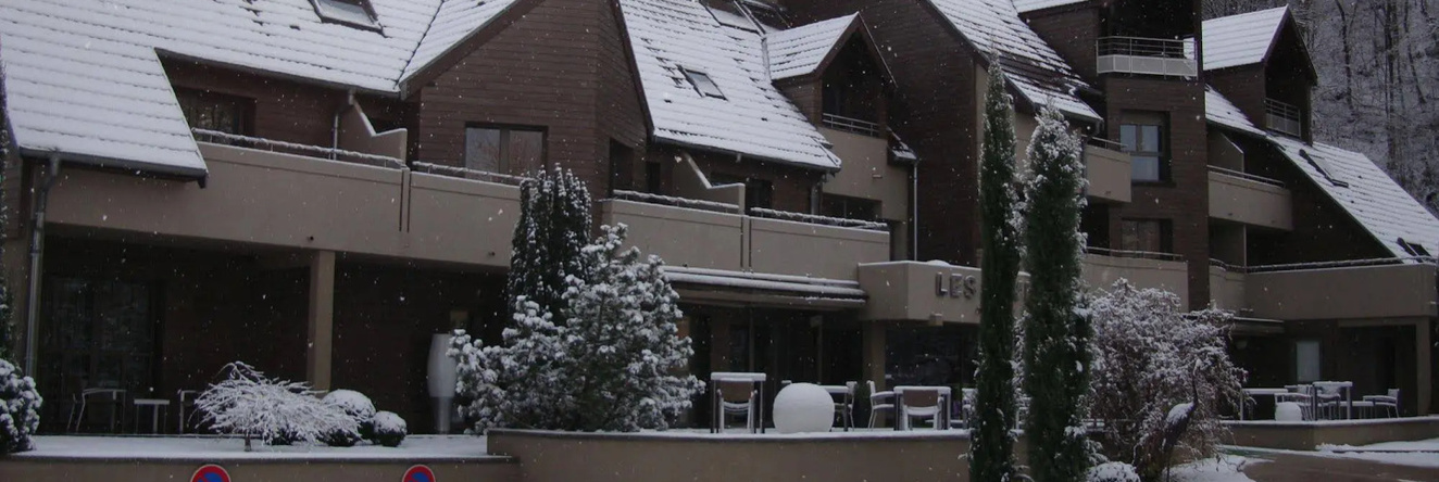Hôtel Les Rives, Гебвиллер — фото 1