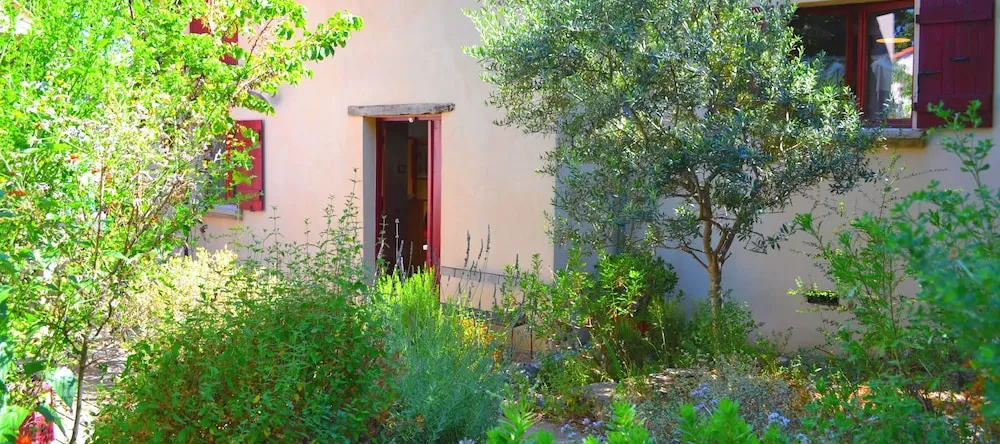Chambres d'Hôtes Maison de la Vigne, 文佐拉斯卡 — 照片 1