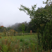 Posada Camino del Norte, 巴雷约 — 照片 3