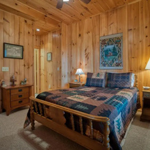 A View for Skye -a Perfect Pet-friendly Mountain Cabin-amazing Views, 德鲁伊德山 — 照片 3