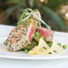 Hill View Restaurant & Apartments, 皮苏里 — 照片 5