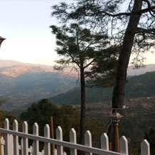 Rajgarh Exotica Resorts, Rajgarh — photo 5