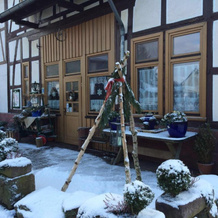 Blütenhotel Village, 兰塔尔-萨尔瑙 — 照片 5