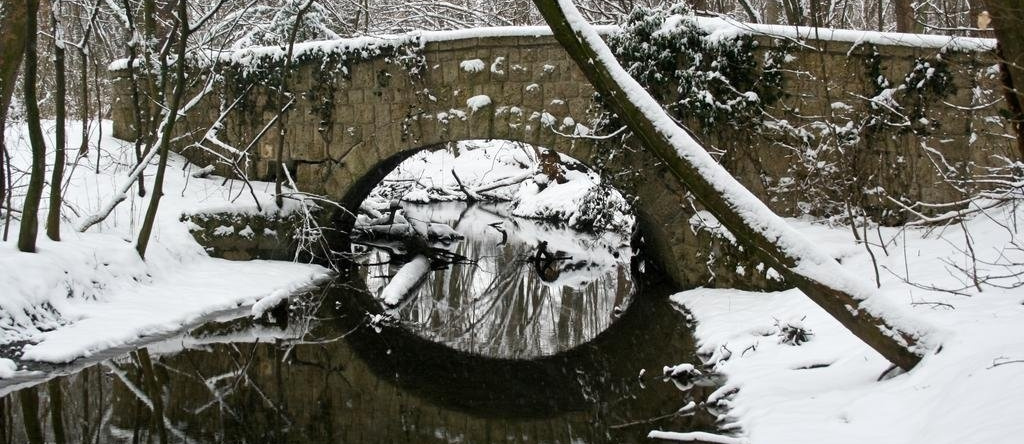 Schloss Schönau Jagdhaus, 巴特弗斯劳 — 照片 1
