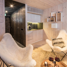 Arctic Treehouse Hotel, Рованиеми — фото 2
