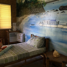 Bohol Lahoy Dive Resort, 金杜尔曼 — 照片 3